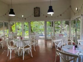 The Secret Garden Cafe