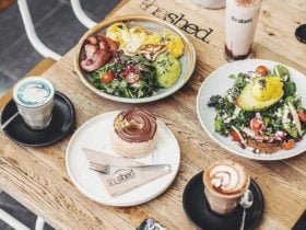 The Shed Cafe