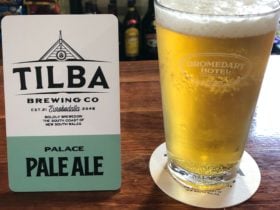 Tilba Palace Pale Ale Beer Craft