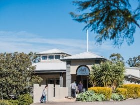 Tulloch Wines