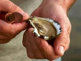 Tunstead Oysters