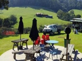 Landscape view of outdoor area