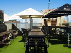 Websters Bar