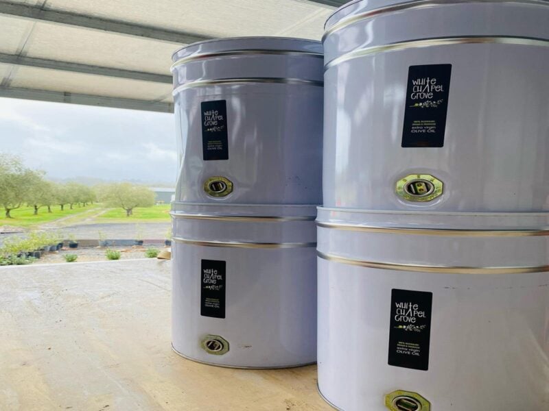 Olive oil drums
