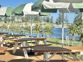 The Deck Yves Social