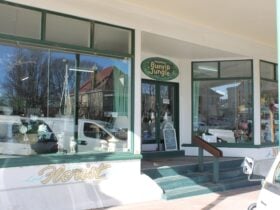 Bunyip Jungle