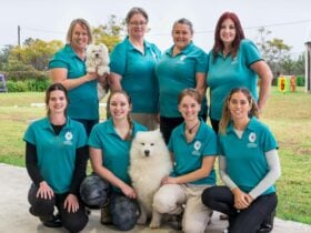 Kylie’s K9 Country Retreat