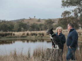 Owners Michael & Carolyn