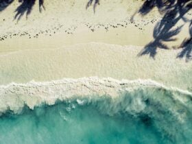 ocean waves on beach