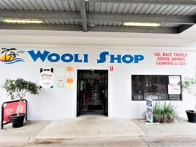 Wooli Shop - Store front view