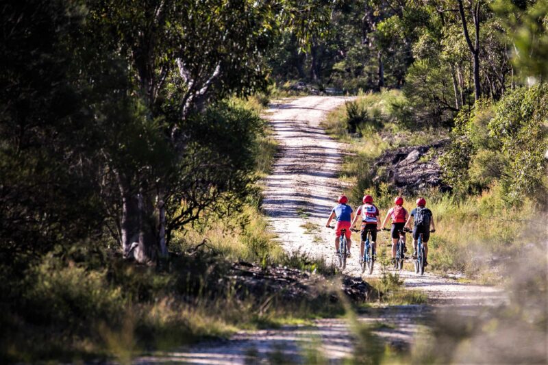 Blue Mountains Bike Hire