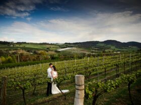 vineyard weddings