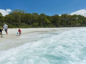 A father and two children play by the waves at Chinamans Beach, Jervis Bay National Park. Photo: