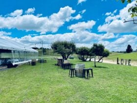 Pair our outdoor furniture with the marquee of your choice