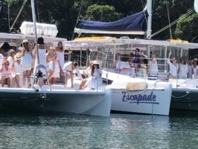 Catamaran hire Sydney catamaran charter