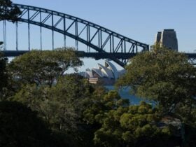 Long-distance scenic shot of Sydney Harbour with the Sydney Opera House in view.