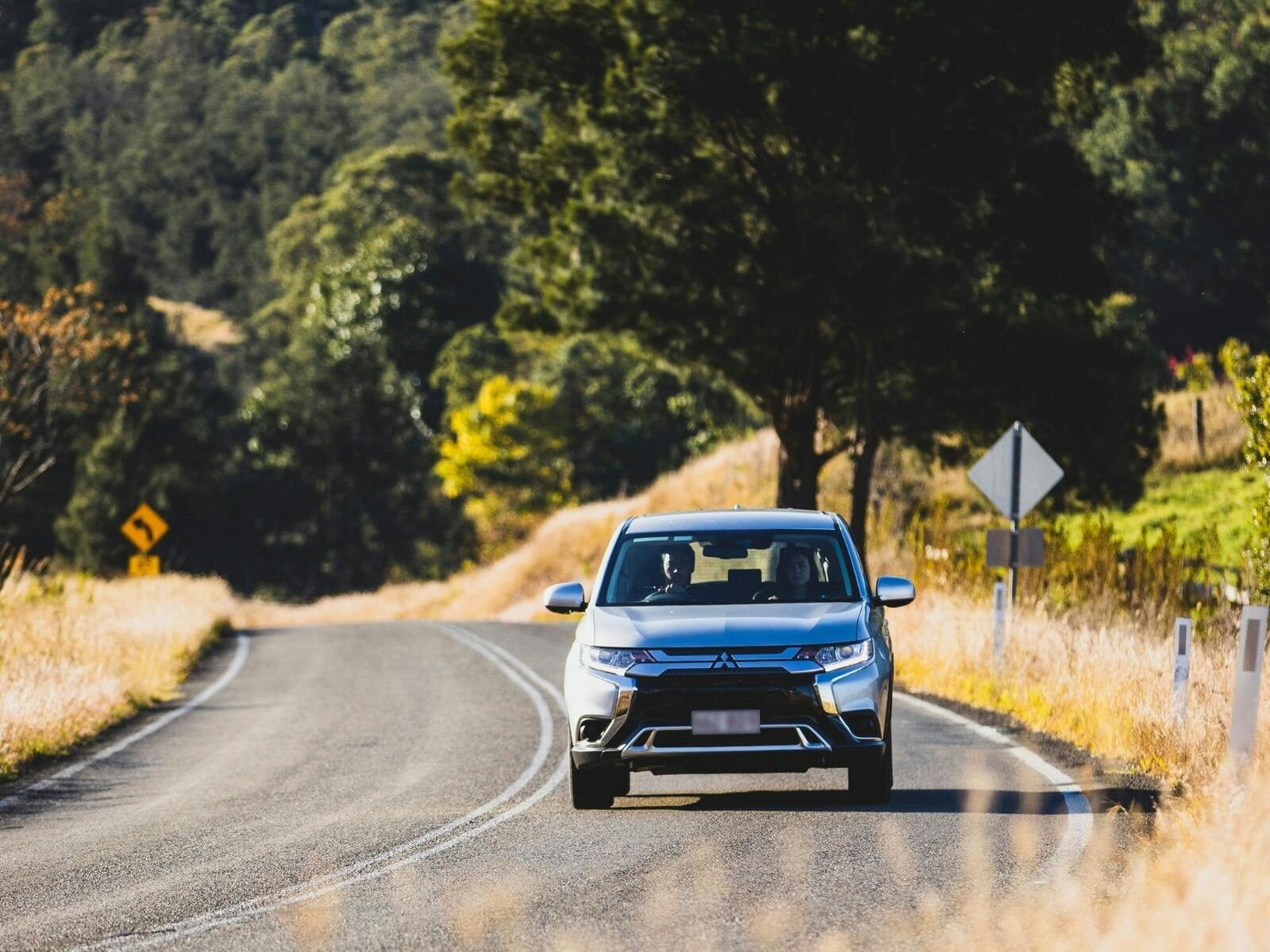 Vehicle driving through a lush forest road, surrounded by nature