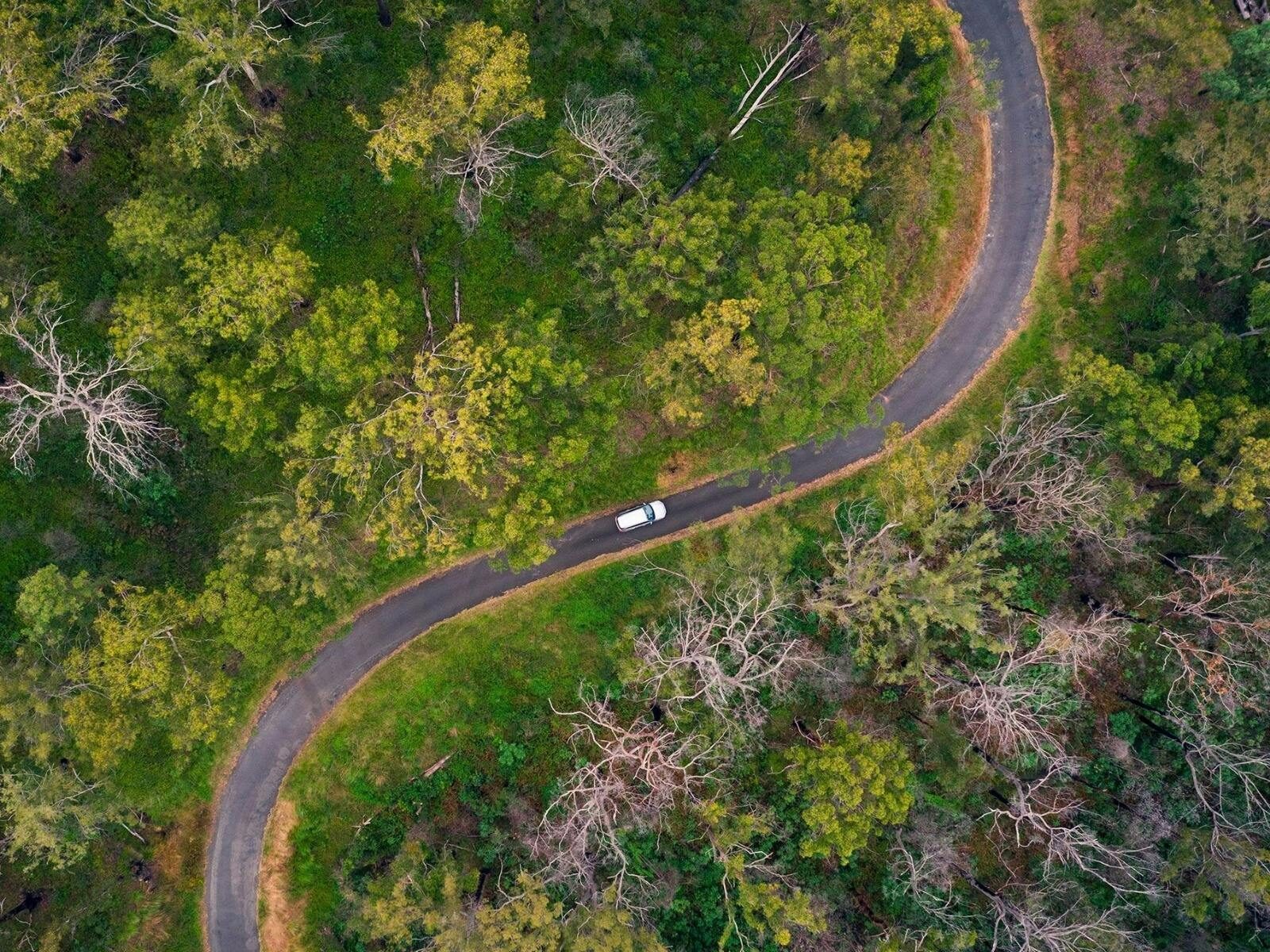 Aerial view of a car driving along a winding S-shaped road surrounded by lush green nature