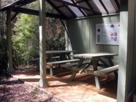 Fitzroy Falls Riverside picnic huts, Morton National Park. Photo: Geoffrey Saunders © DPIE