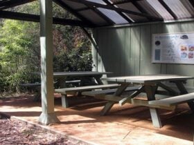 Fitzroy Falls Riverside picnic huts, Morton National Park. Photo: Geoffrey Saunders © DPIE