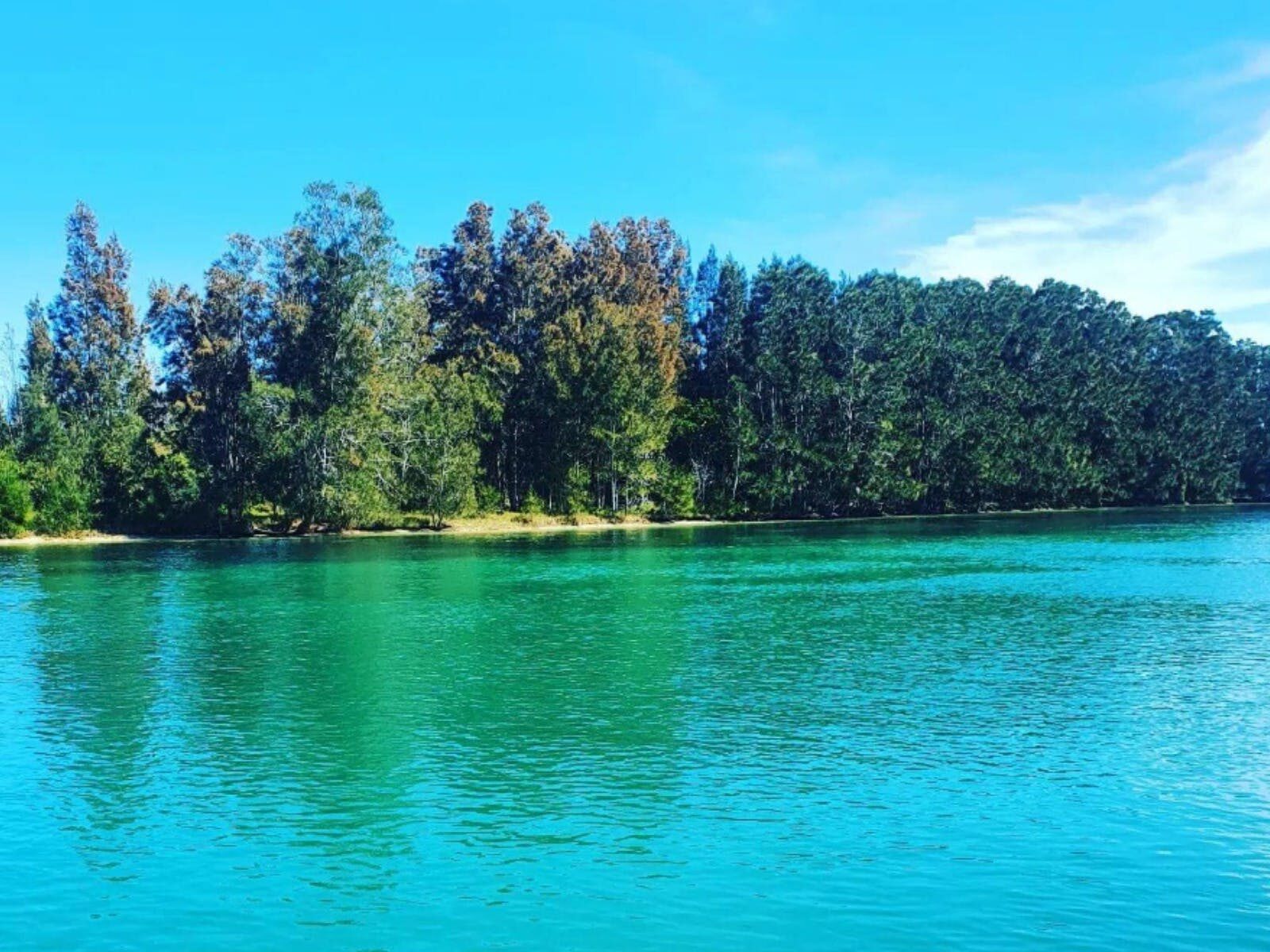 Forster Marina on Wallis Lake