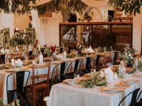 Gracelands Forresters Beach