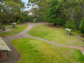 The grassy picnic area at Greenfield Beach with covered shelter, barbecues and picnic tables in