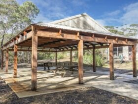 Guwi midigaa ngarra shelter, Blue Mountains National Park. Photo: Simone Cottrell © DCCEEW