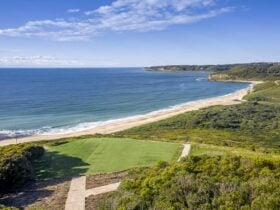 Aerial view of lawn at Hickson Street lookout, with beach, bushland and ocean in the background.