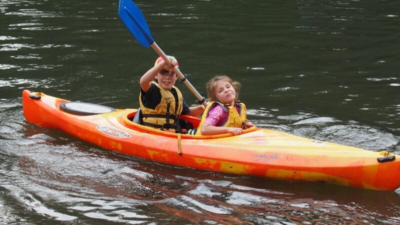 Kangaroo Valley Safaris