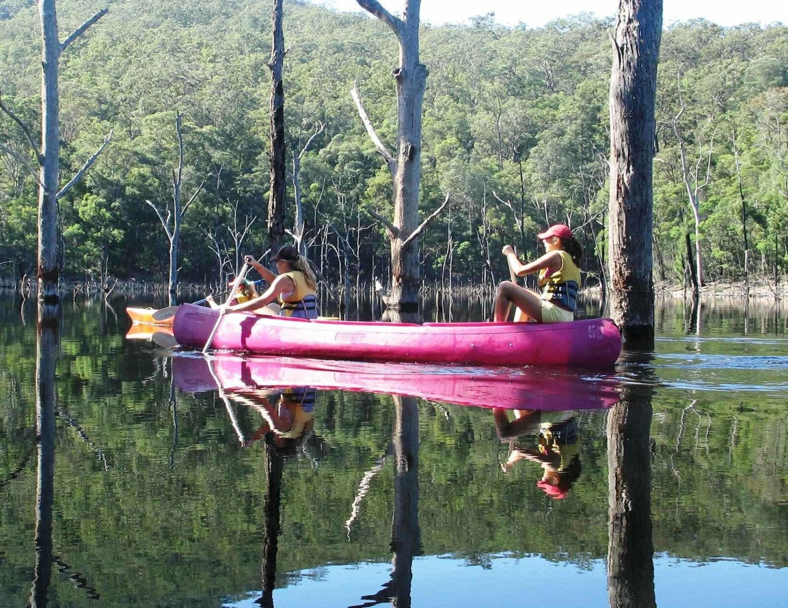 Kayak and canoe kangaroo valley