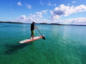 Lake Mac Kayak & Bike Hire