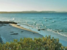 Little Wategos Beach, Walgun Cape Byron State Conservation Area. Photo: John Spencer