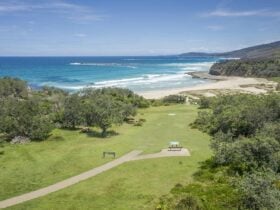 Pretty Beach and lawn, Murramarang National Park. Photo: John Spencer © DPE