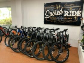 Ebike fleet