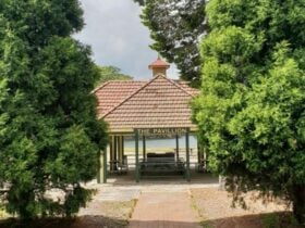 The Pavillion picnic shelter through trees in Ku-ring-gai Chase National Park. Photo: Nicole Ribera