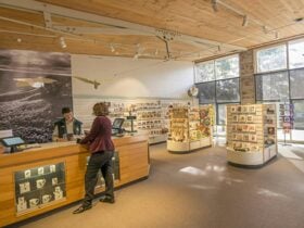 A visitor talks to staff at Blue Mountains Heritage Centre, Blue Mountains National Park. Photo: