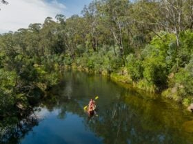 two people in a kayak floating down the river