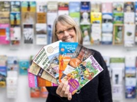 Local experience and attraction brochures available