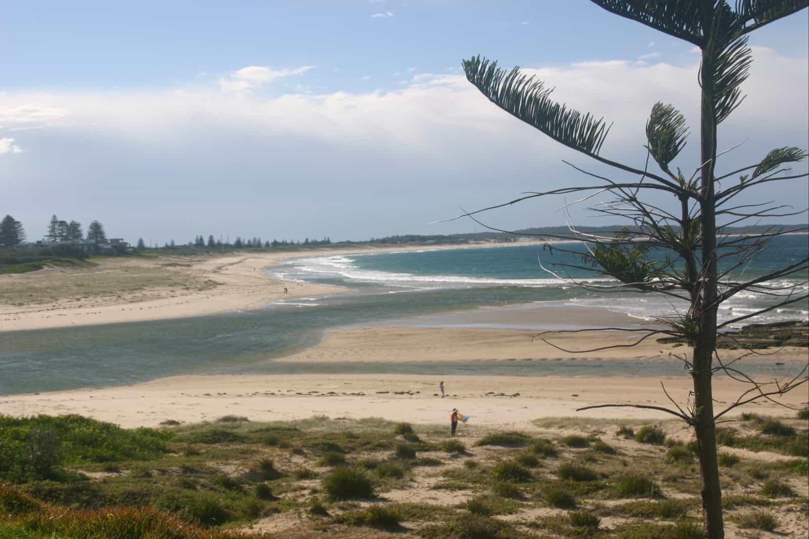 Avoca