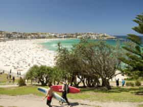 Bondi Beach