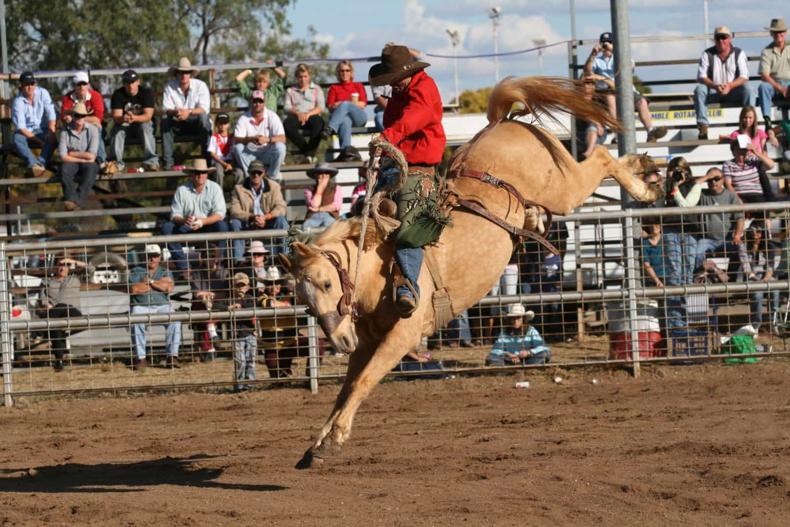 Coonamble Rodeo and Campdraft