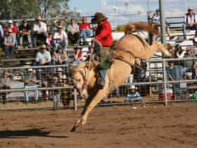 Coonamble Rodeo and Campdraft
