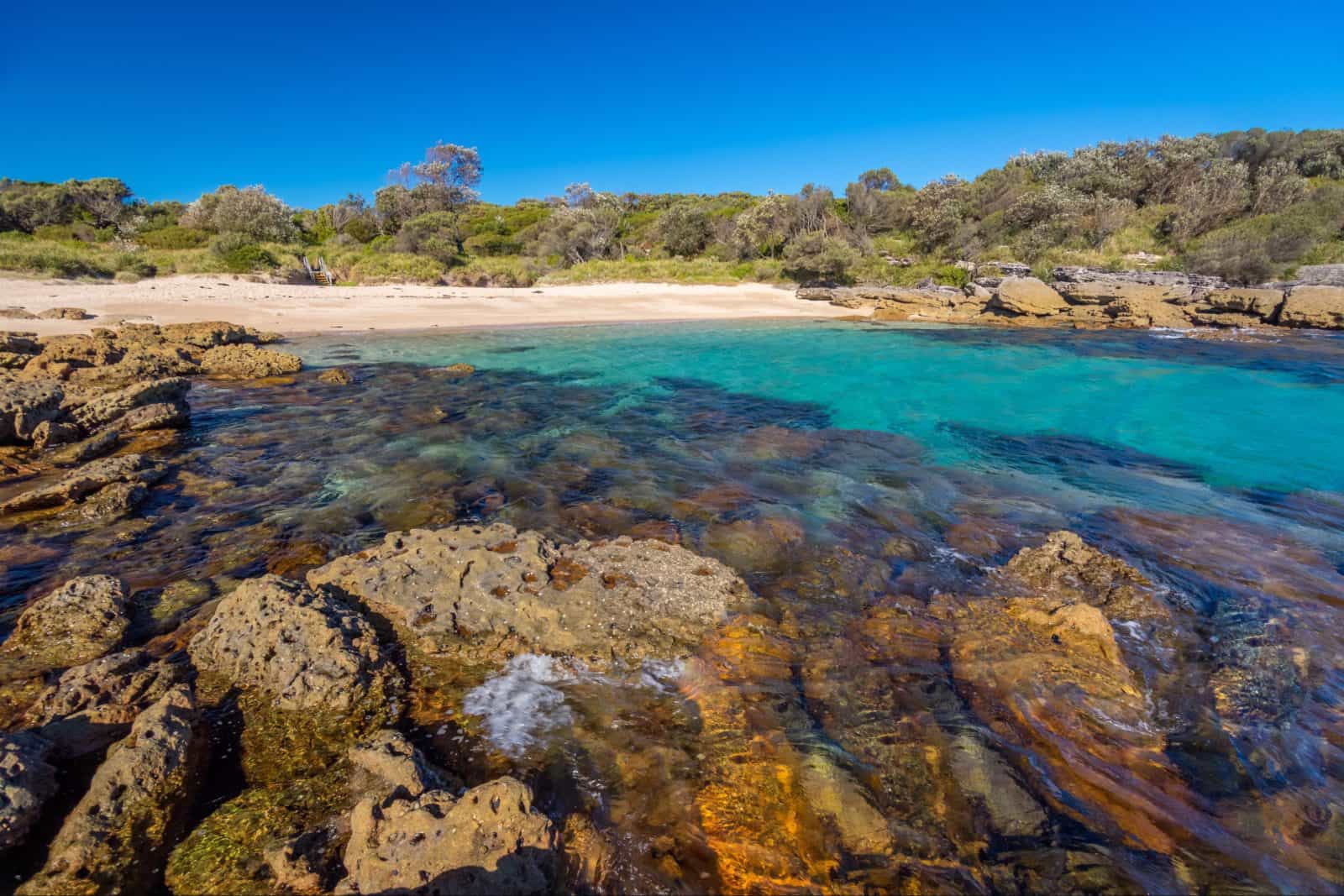 Honeysuckle Bay Currarong