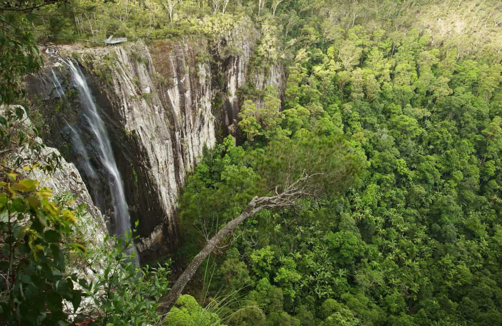 Dorroughby Minyon Falls