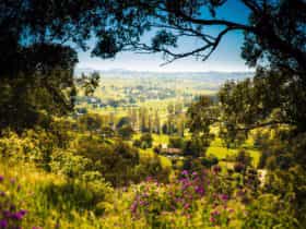 The pretty village of Jugiong on the banks of the Murrumbidgee River