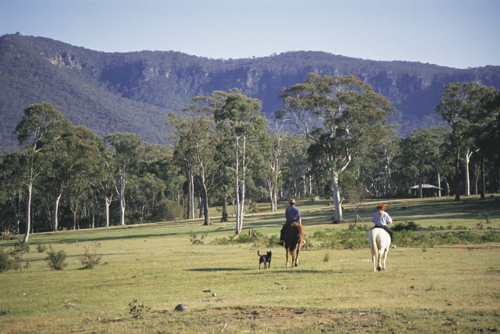 Megalong Valley
