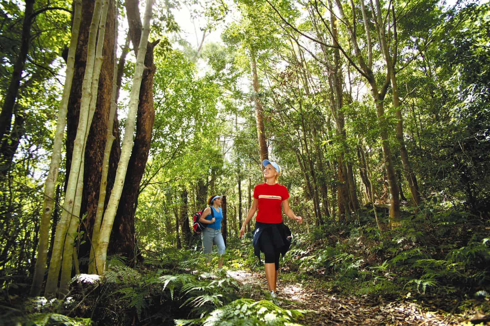 Mt Keira Walking Track