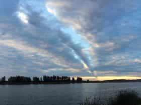 Raymond Terrace