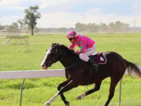 Wean Pinic Races